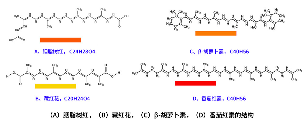 藏紅花、胭脂樹紅、β-胡蘿卜素、番茄紅素的化學(xué)結(jié)構(gòu)